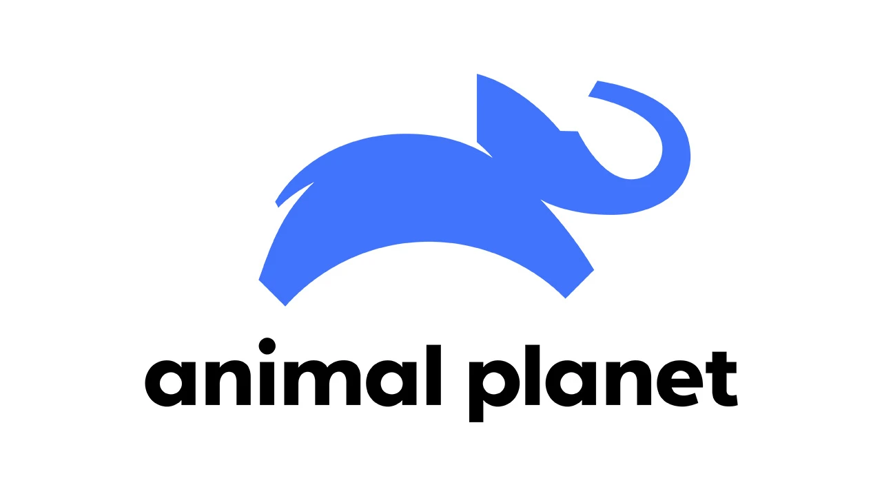 Zender van de maand december 2025