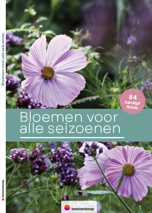 Omslag vand de praktische gids 'Bloemen voor alle seizoenen'