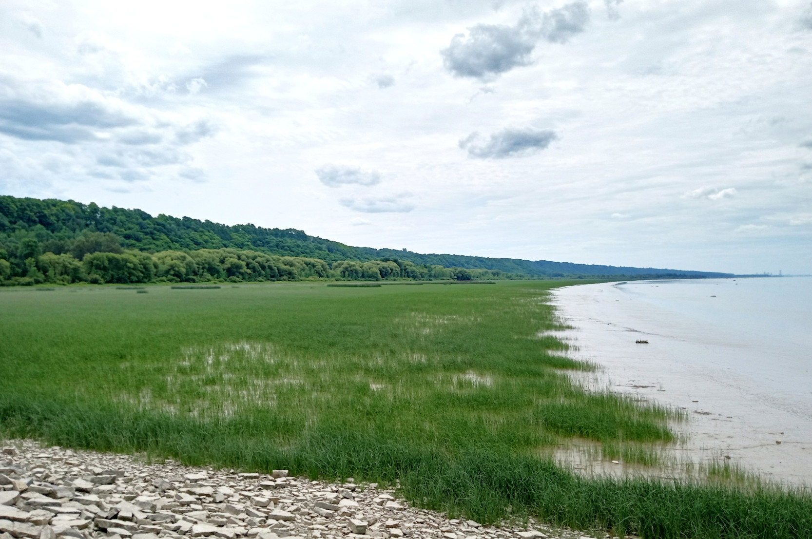 IMG 20240703 125338404 HDR