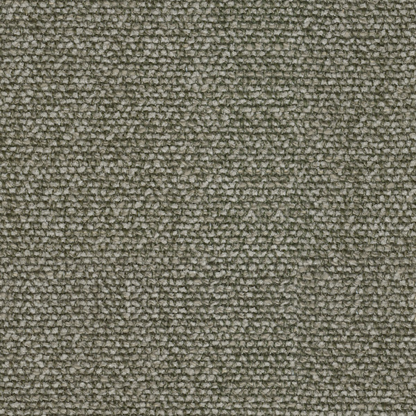 Moss