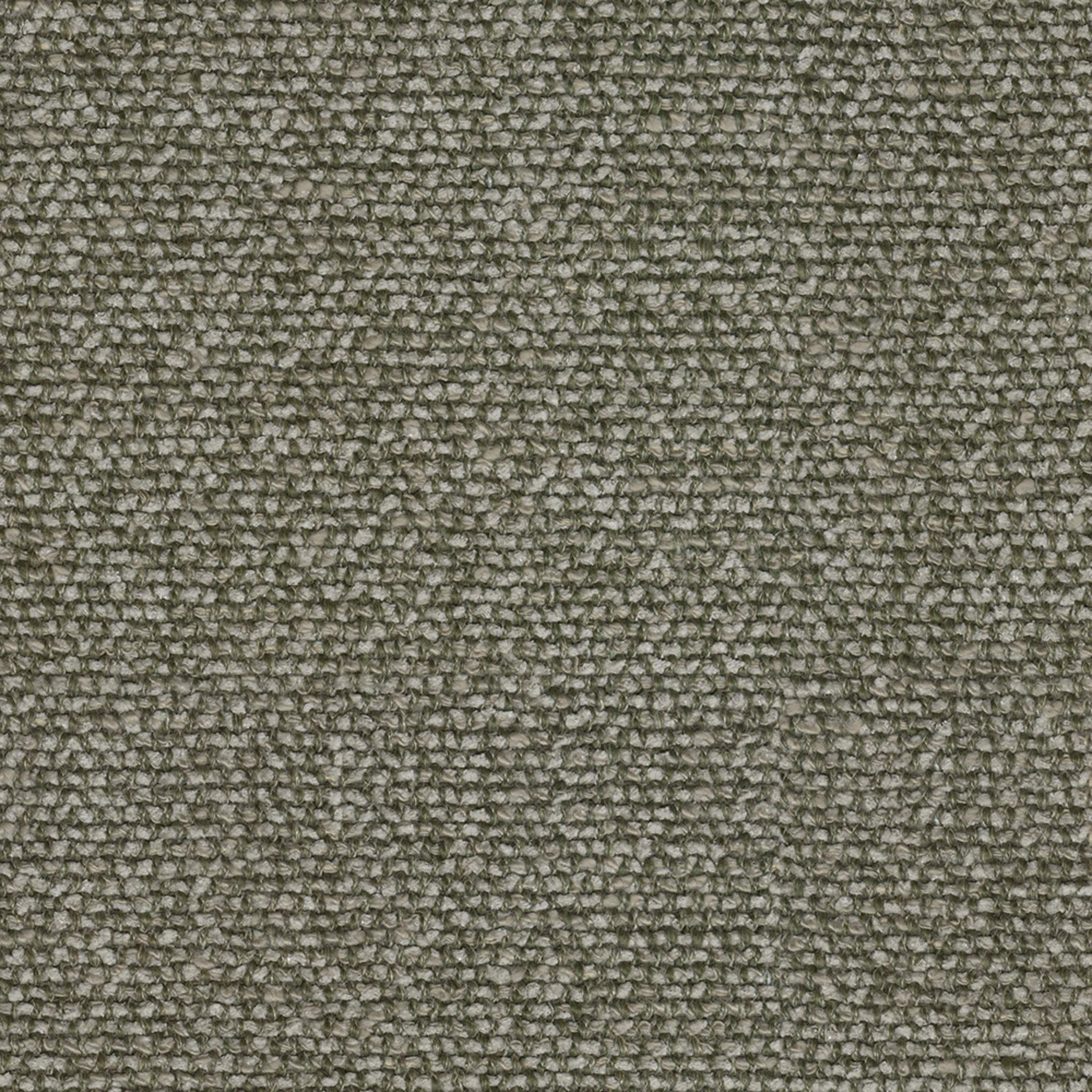 Moss