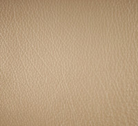 Beige 2353