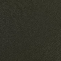 Olive 2359