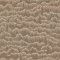 Mountain Lines 883