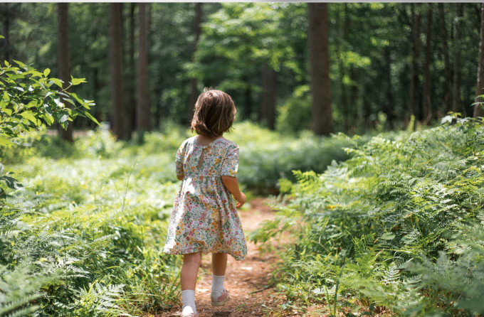children initiate learning in nature more easily 