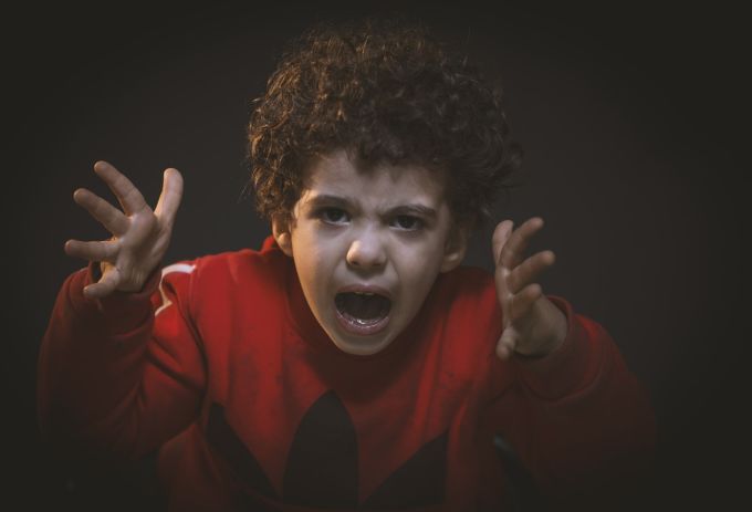 Aggressive Behavior in Children with Autism