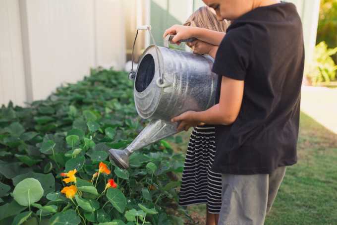children gardening 