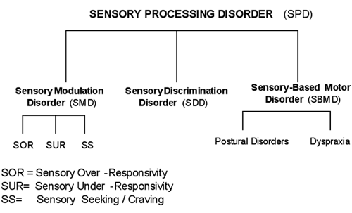 Sensory processing disorder chart