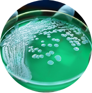 Global Needs Inspire Antibacterial Innovation