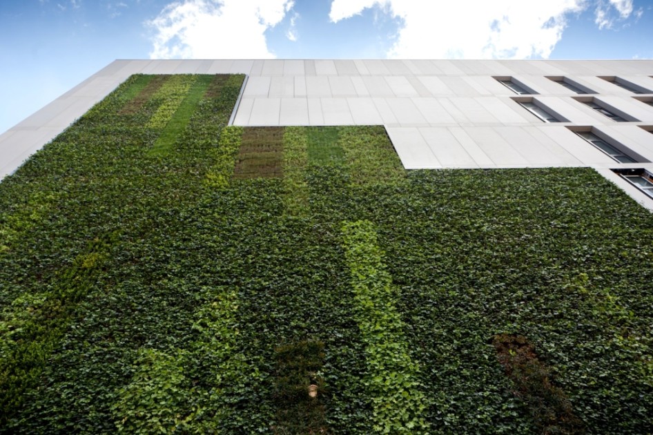 Science Central creates one of UK's tallest living walls ...