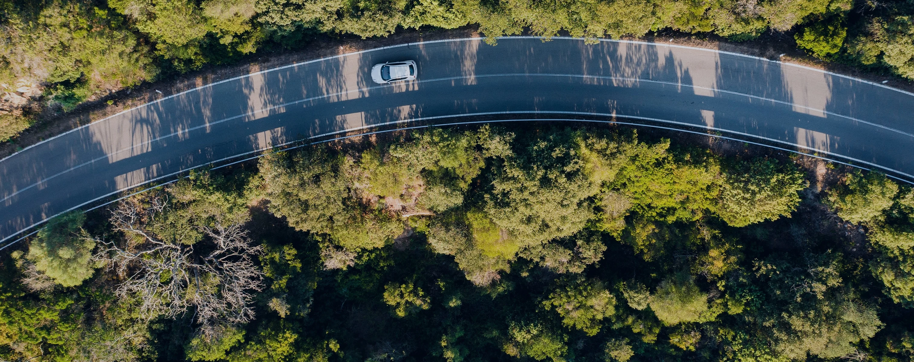 Ein Auto fährt auf einer kurvigen Straße, umgeben von Bäumen.