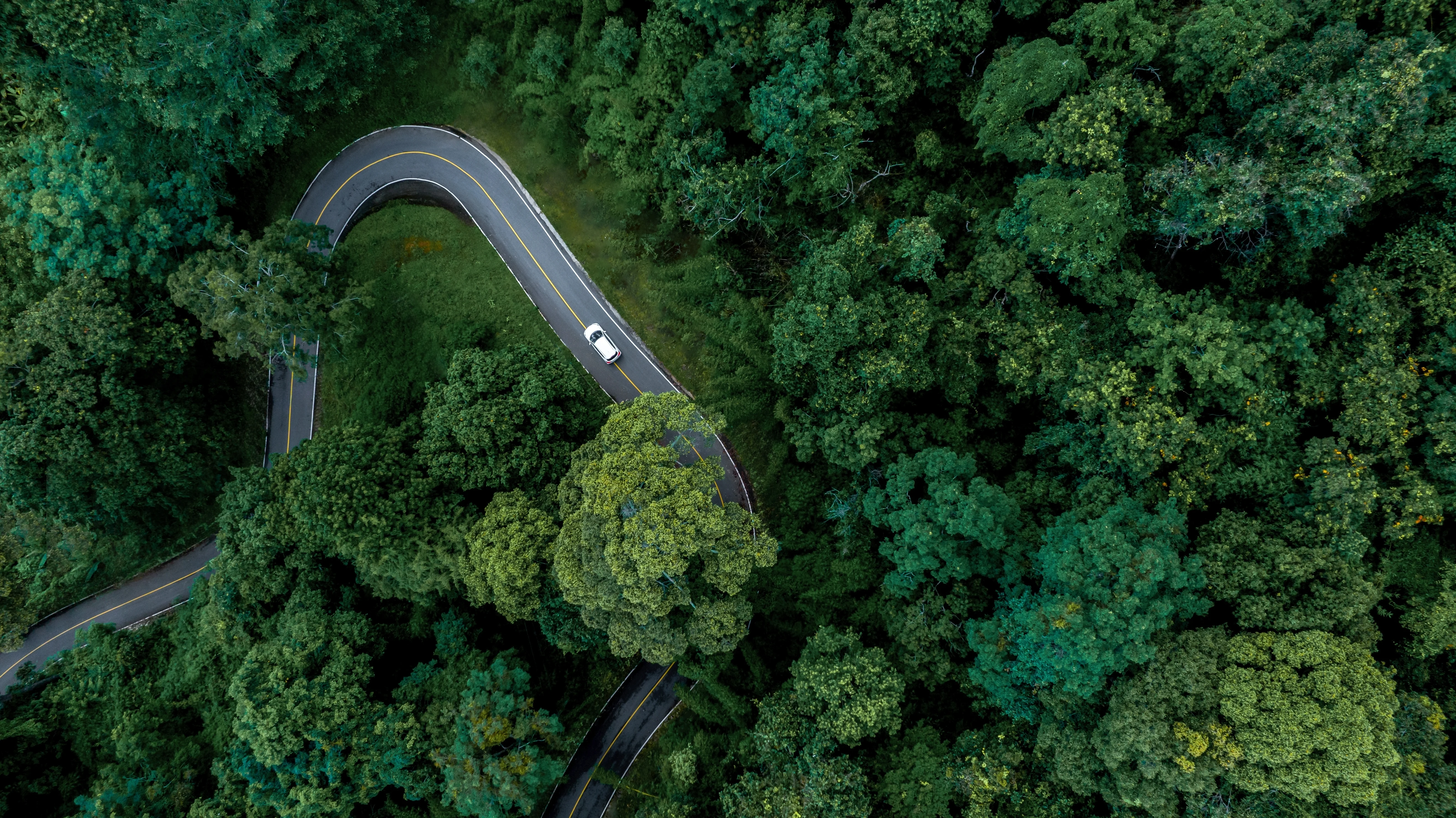 Vue aérienne d’une voiture blanche sur une route à travers la forêt en Europe.