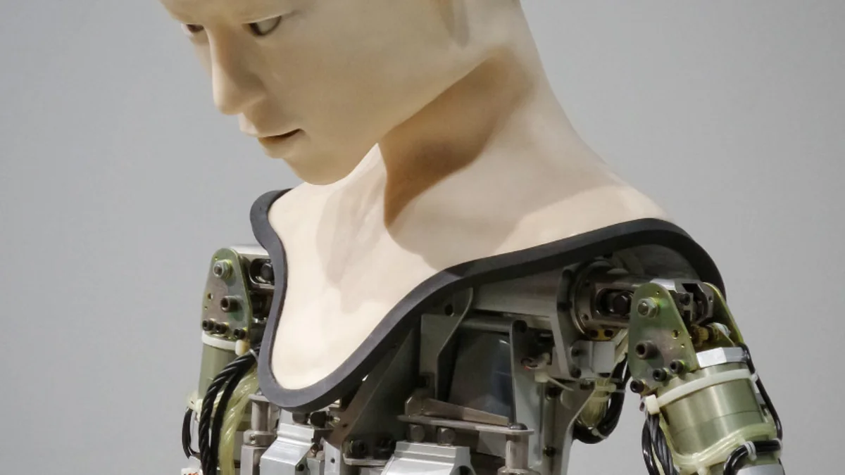 Humanoid robot 1.0
