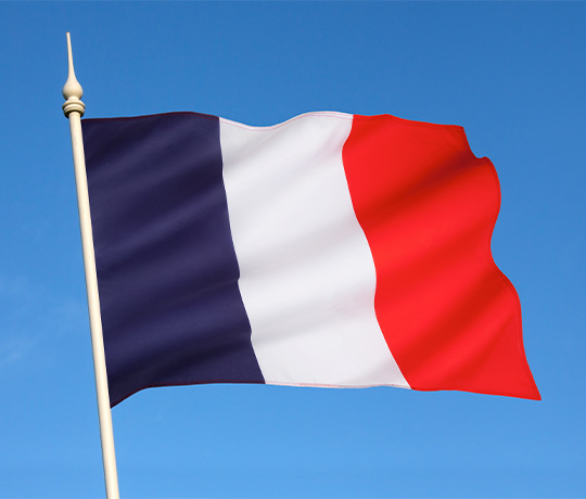 Franska flaggan