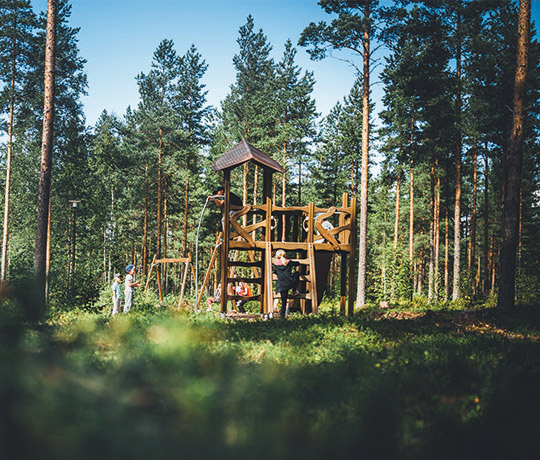 The density value of wood indicates its durability and versatility