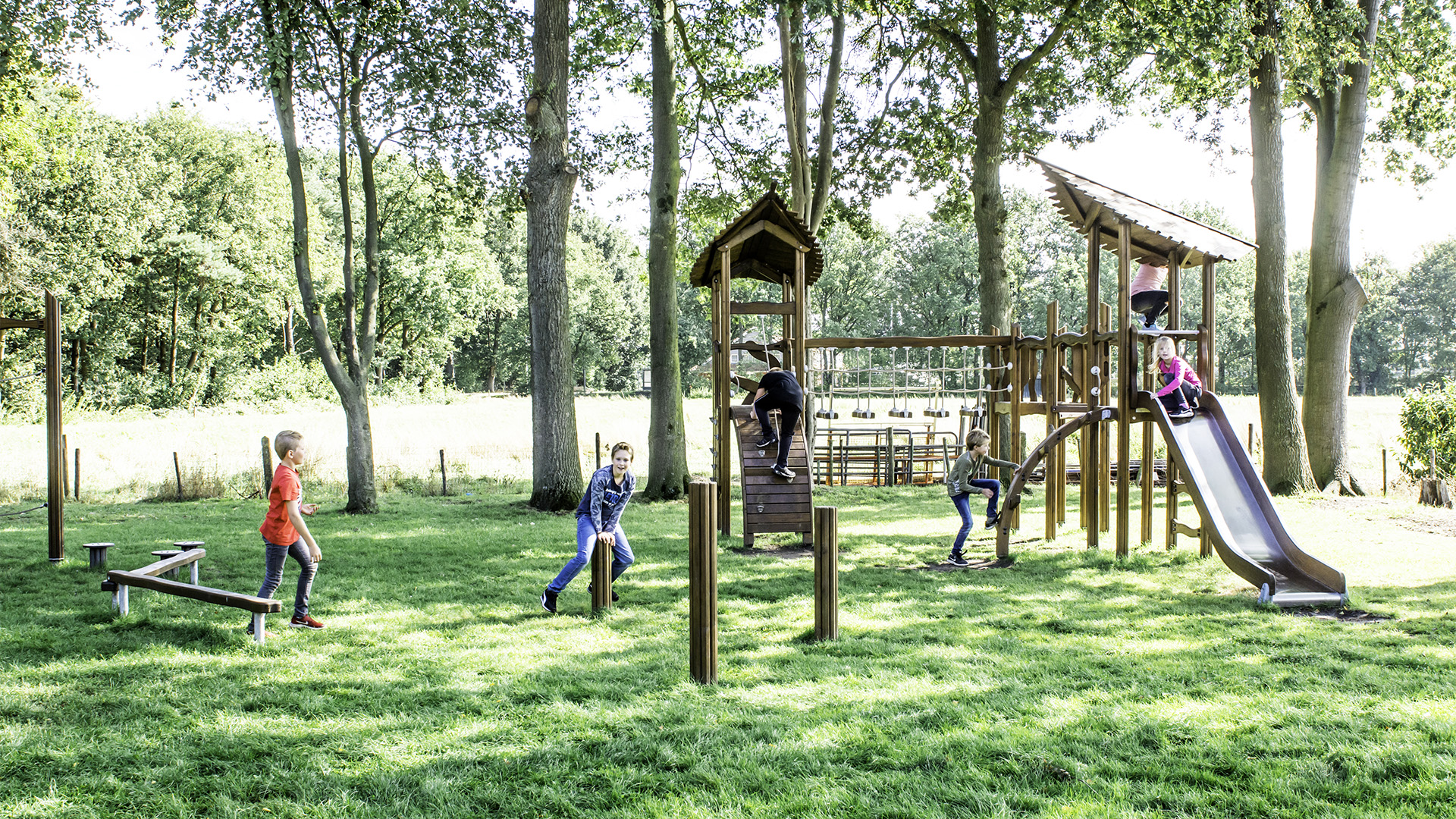 Children are playing in a park with tall trees and wooden playground structures. Some are on a slide, while others are climbing and walking on balance beams. The grass is green and the scene is bright and sunny, with a natural, scenic backdrop.