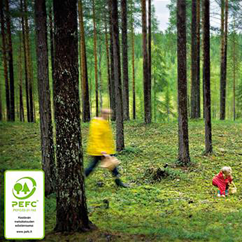 Le bois que nous utilisons comme matière première principale est du pin certifié qui pousse en Finlande. C'est un matériau dur, durable et écologique.