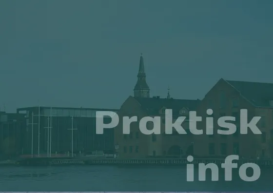 praktik