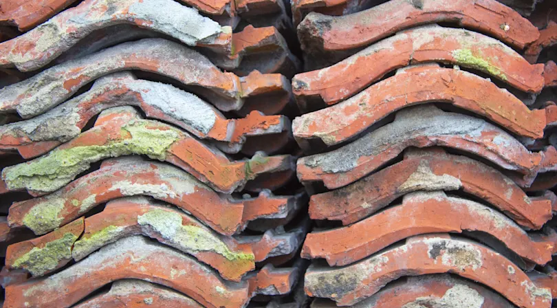 Rådgivning siden 1974