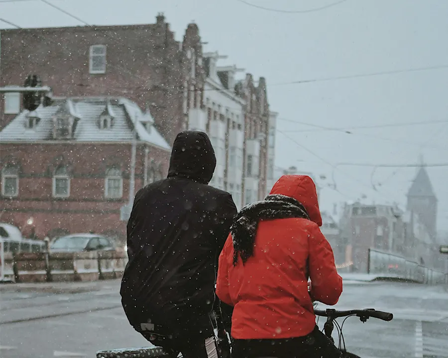 Snestorme er over os. Stormskader kræver hurtig handling og klar planlægning