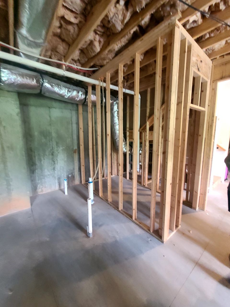 Basement Finish / Renovate