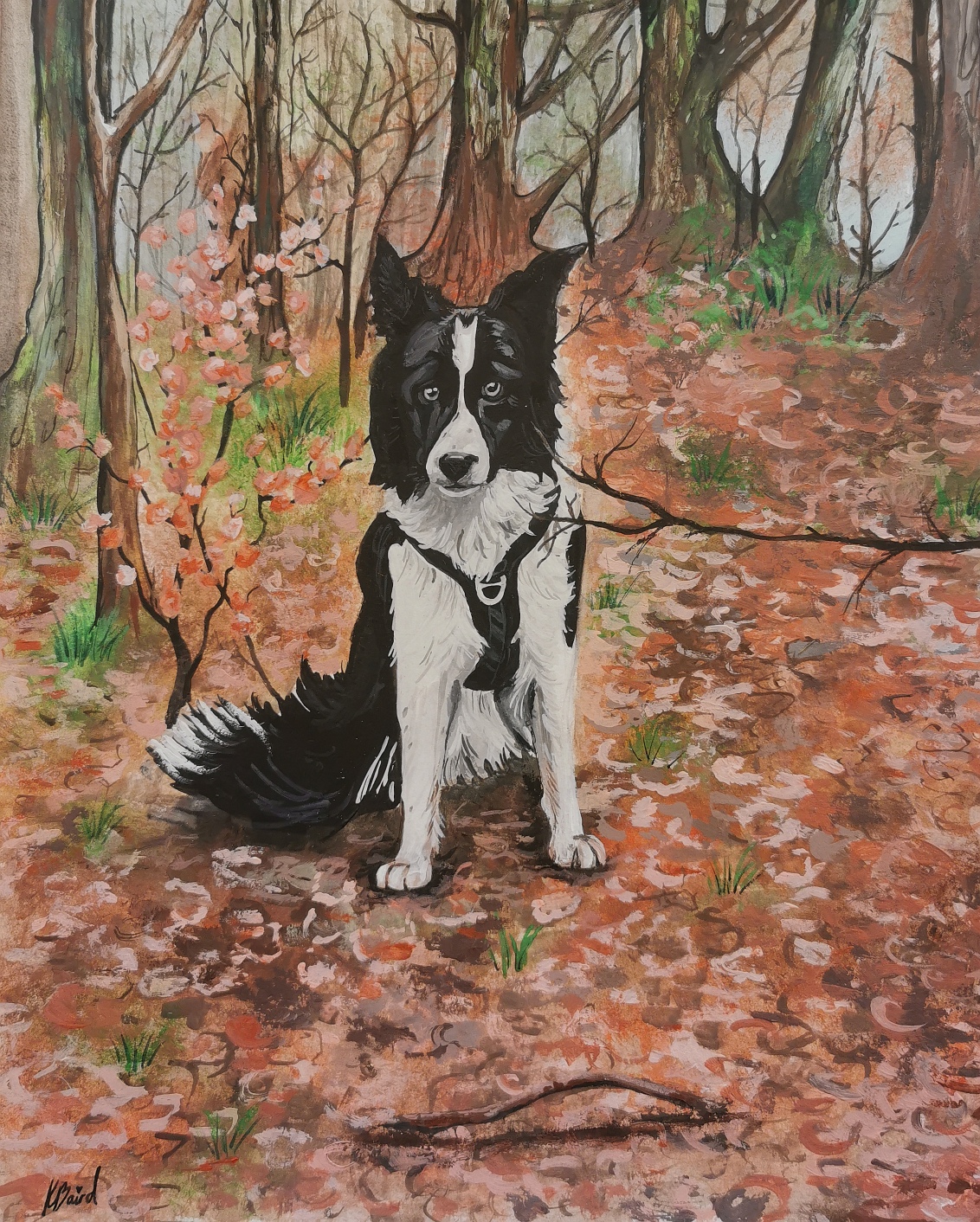 Gus Portrait 