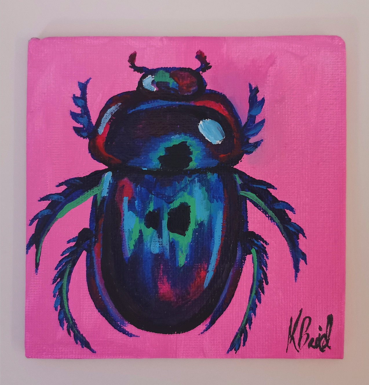 Colourful Beetle 