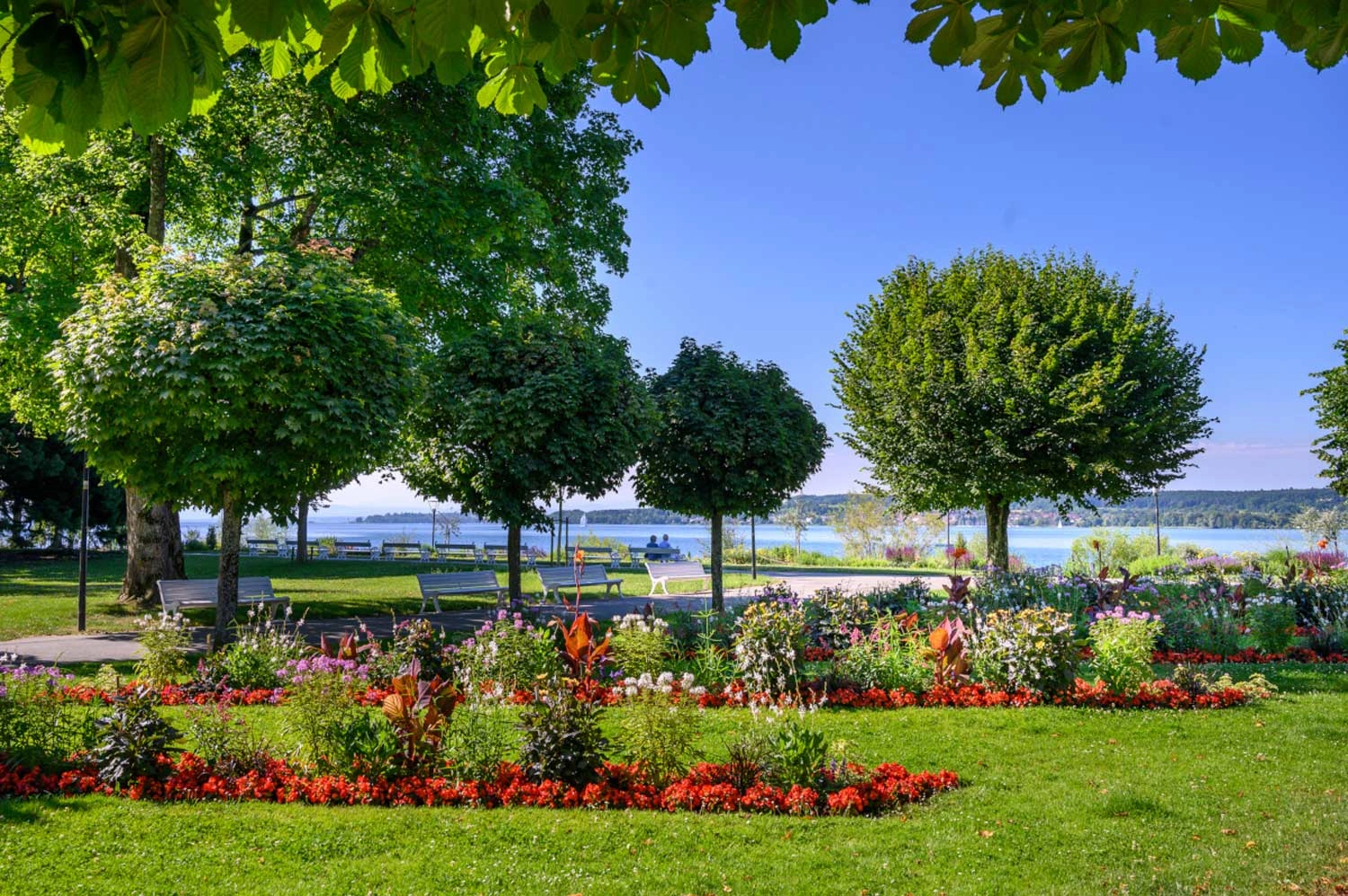 Park by a lake with many trees and flower beds along winding paths