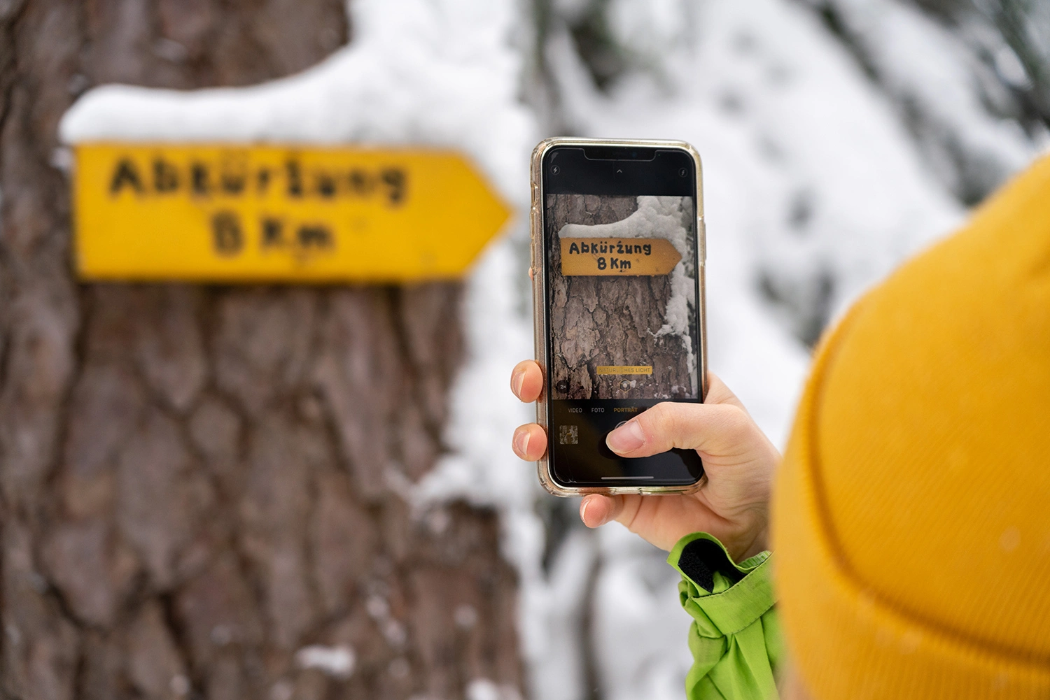 A person takes a photo of a sign on a tree.