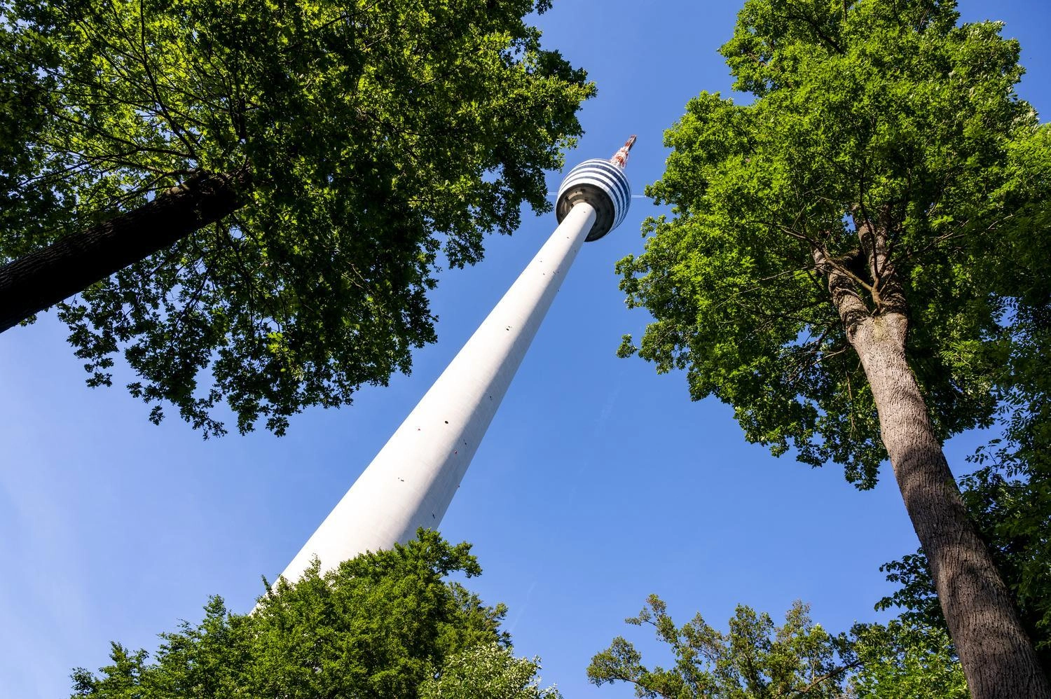 Fernsehturm Stuttgart aus der Froschperspektive, umgeben von hohen grünen Bäumen vor klarem blauem Himmel.