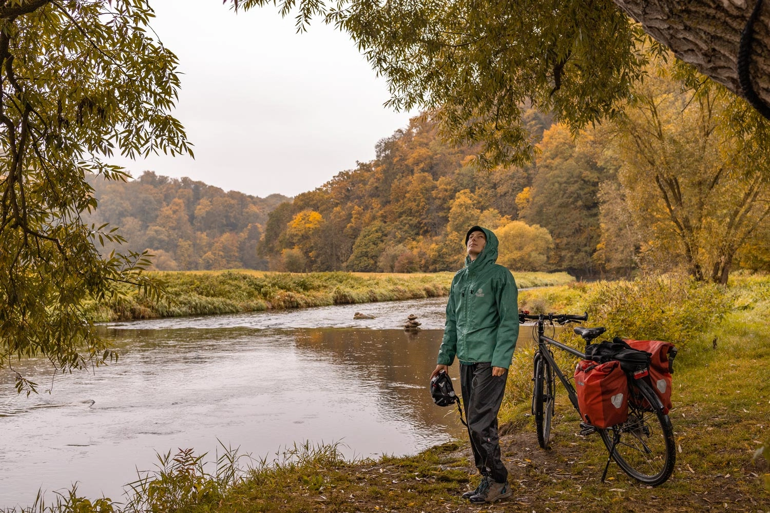 A person is standing by a river with a bicycle, looking up at the trees.