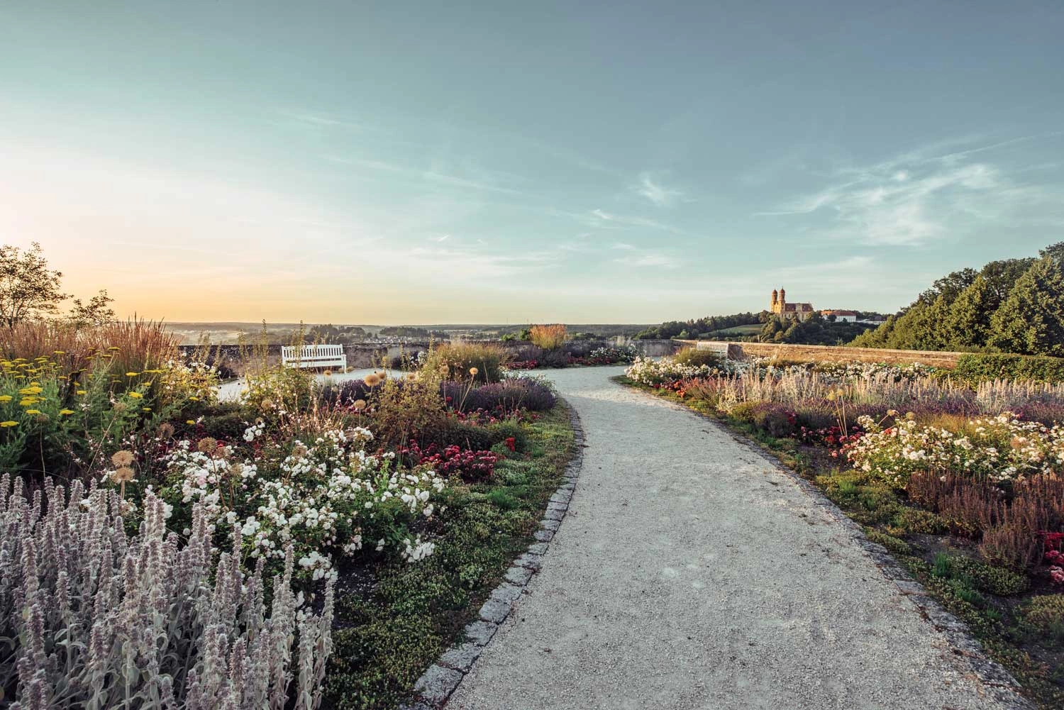 View over a romantic rose garden at dusk.