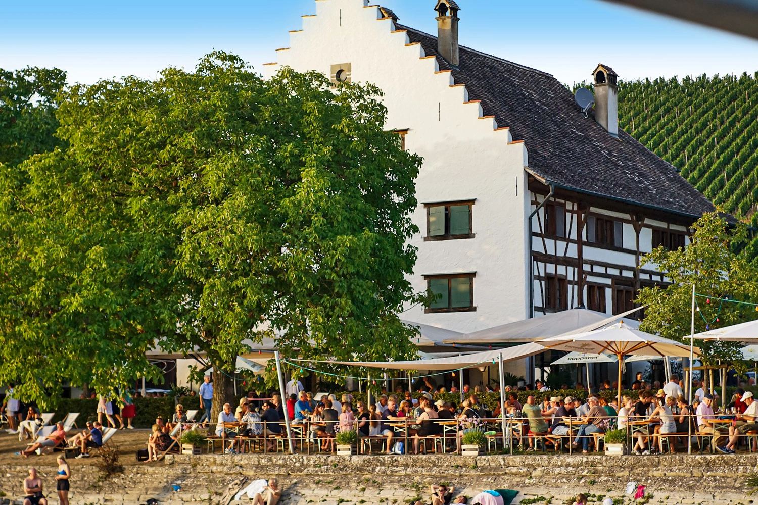 Gut besuchte Terrasse eines historischen Gebäudes am Seeufer, umgeben von Bäumen und Weinbergen, mit Sonnenschirmen und Menschen, die Speisen und Getränke genießen.