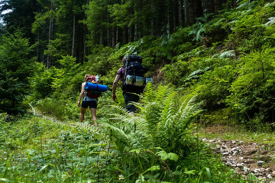 A man and a woman are walking along a narrow hiking trail through the woods, carrying heavy backpacks.