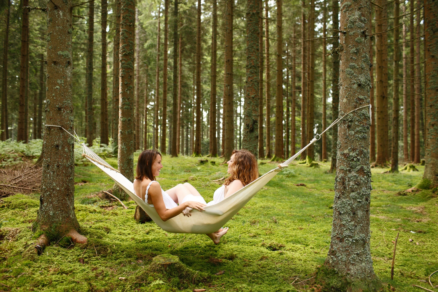 Zwei Personen entspannen gemeinsam in einer Hängematte zwischen Bäumen in einem dichten, moosbedeckten Wald.
