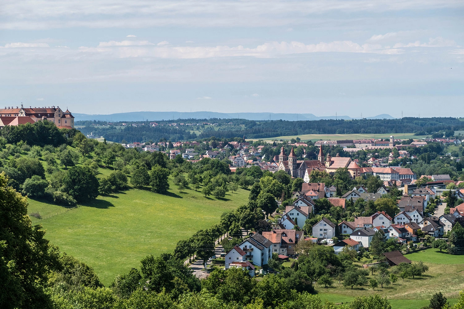 Panoramic view of a city with lots of greenery around it