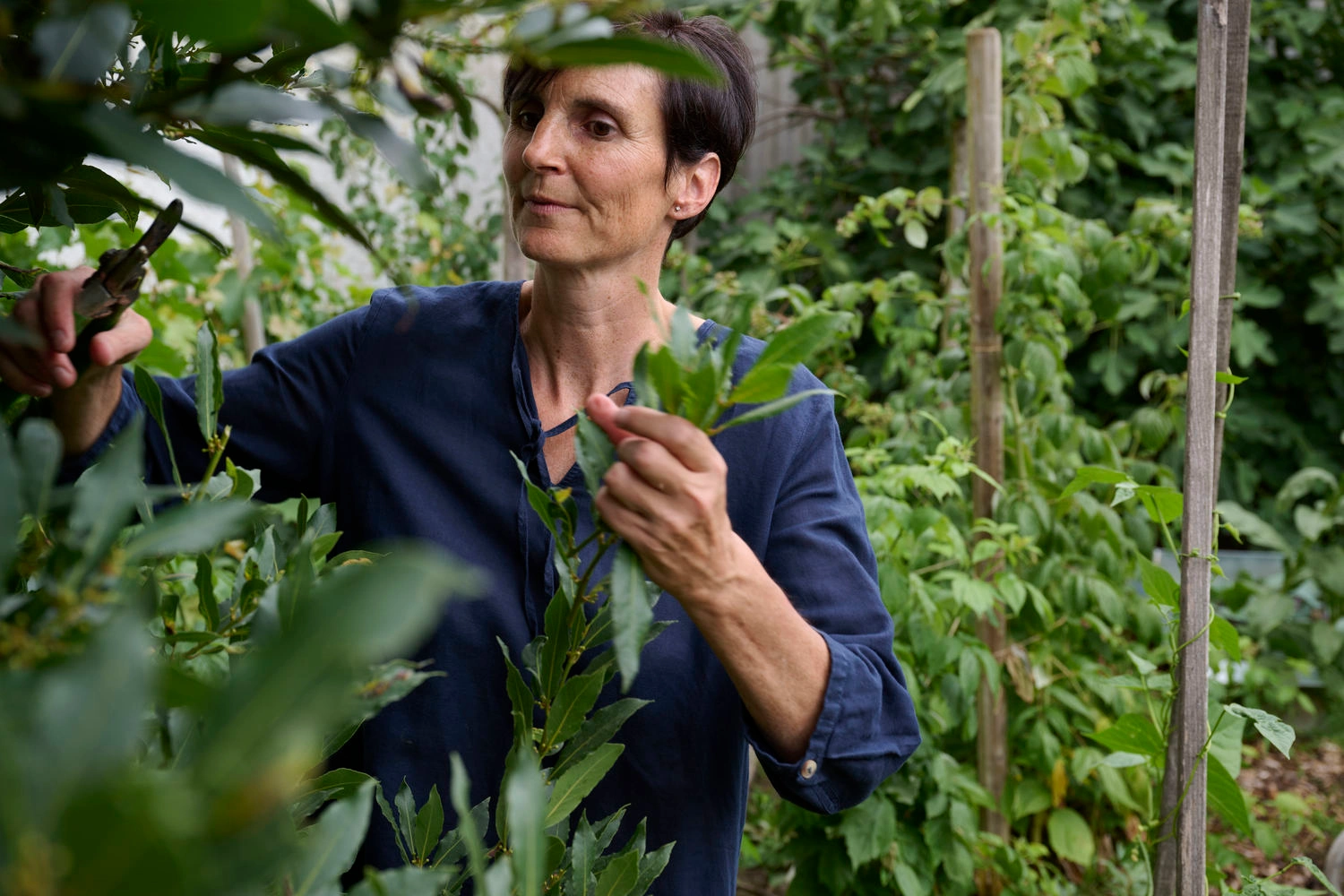 Eine Frau steht in einem Garten und pflückt verschiedene Blätter der Pflanzen um sie herum.