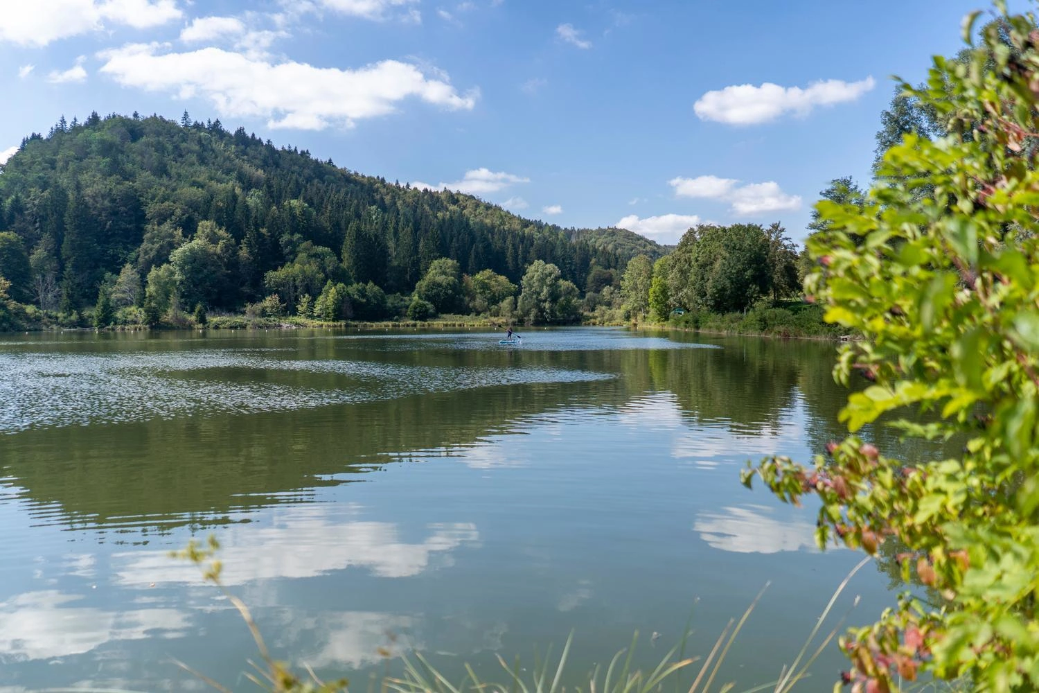 Calm lake reflecting the sky, surrounded by wooded hills and lush greenery on a sunny day.