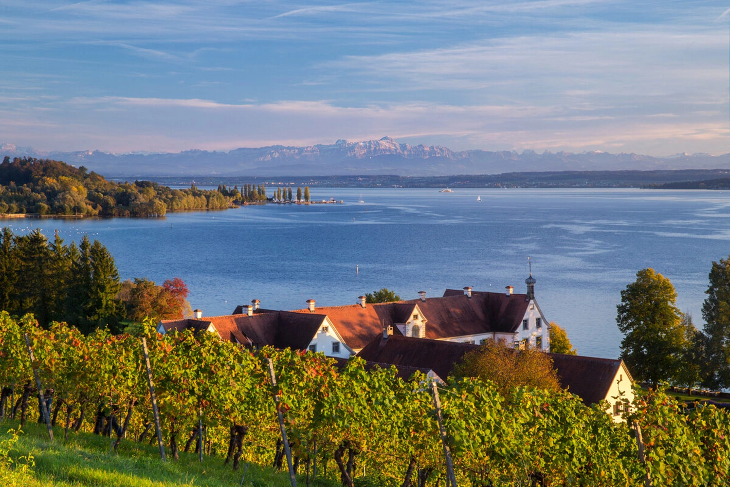 Panoramasicht über einen See mit Weinbergen und Häusern.