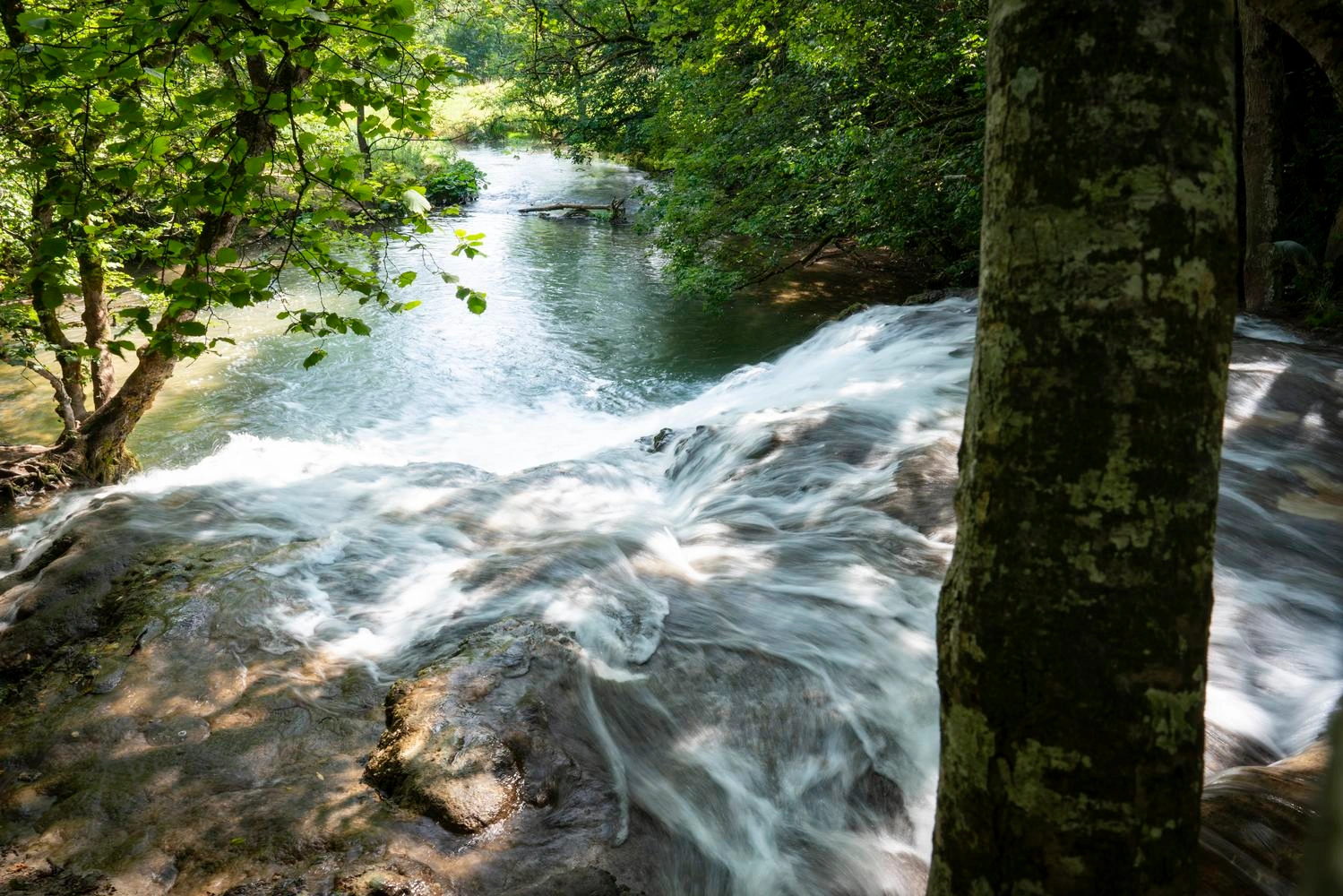 Ein schäumender Wasserfall umgeben von Wald