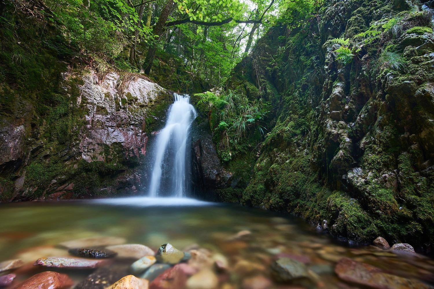 A small foaming waterfall falls into a pool.