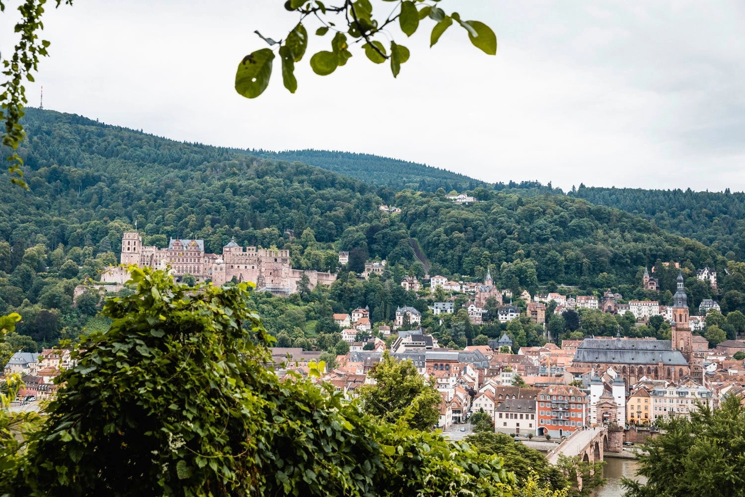 Blick auf eine Altstadt mit einer oberhalb liegenden Burgruine. Die Stadt ist umgeben von bewaldeten Hügeln.