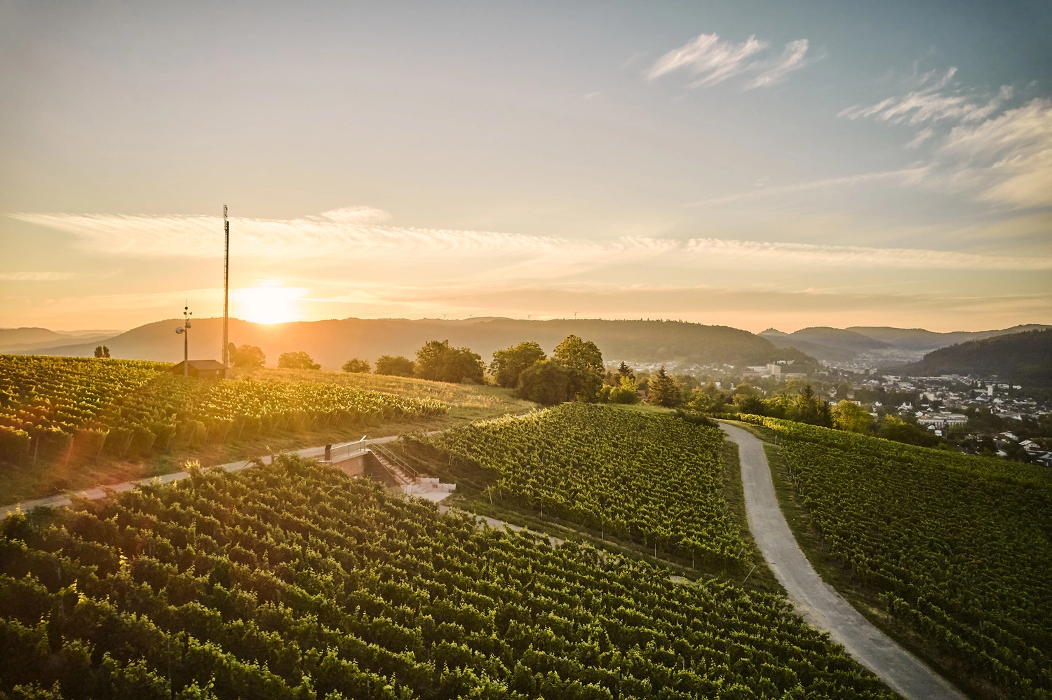 Sonnenuntergang in den Weinbergen oberhalb einer Stadt.