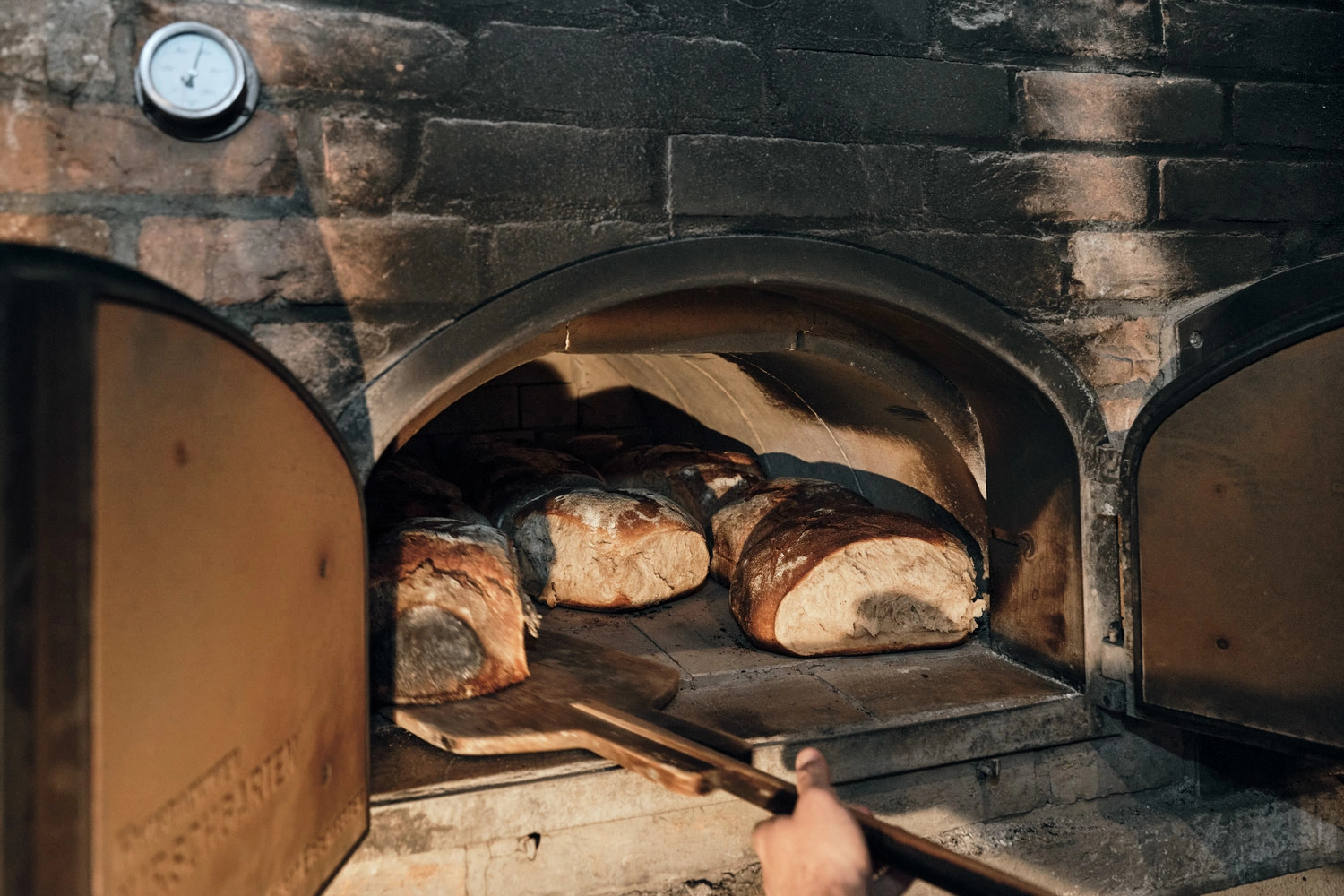 Frisch gebackenes Holzofenbrot kommt knusprig aus dem Ofen.