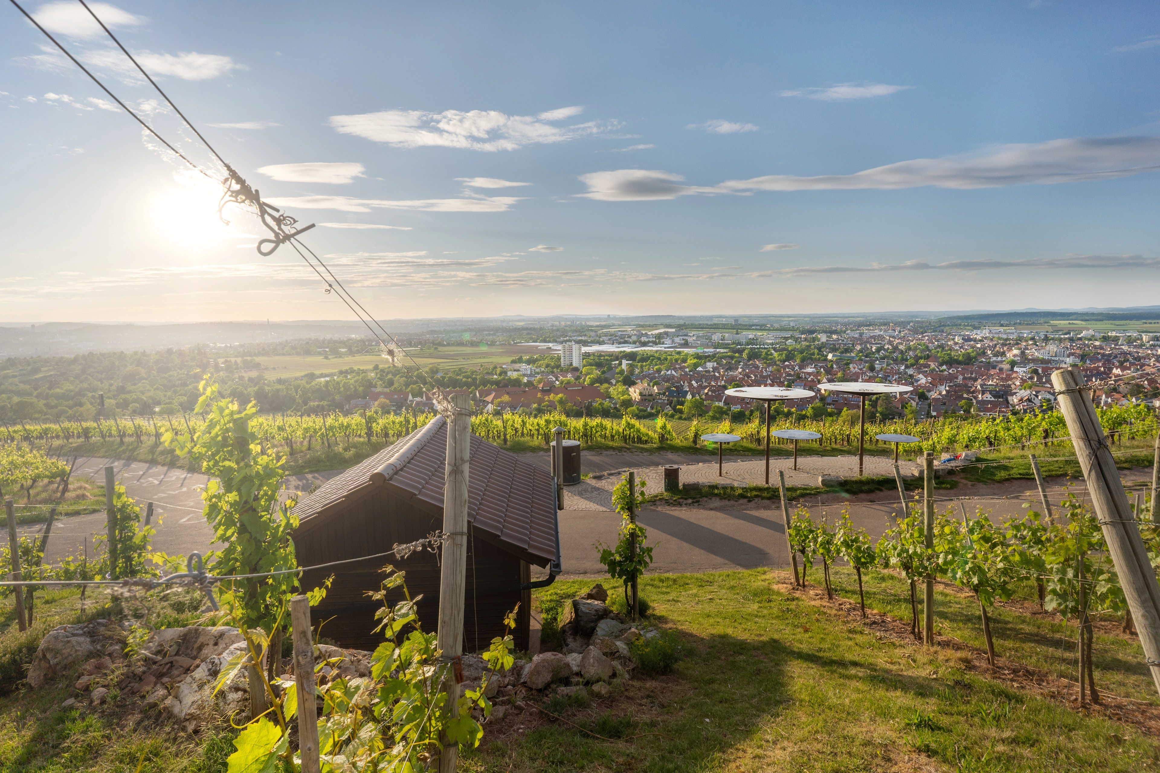 Weinberg mit Reben und kleinem Winzerhäuschen auf einem Hügel, Blick über eine Stadt und die umliegende Landschaft bei tief stehender Sonne, als stimmungsvolles Motiv für Wein‑ und Genussregionen.