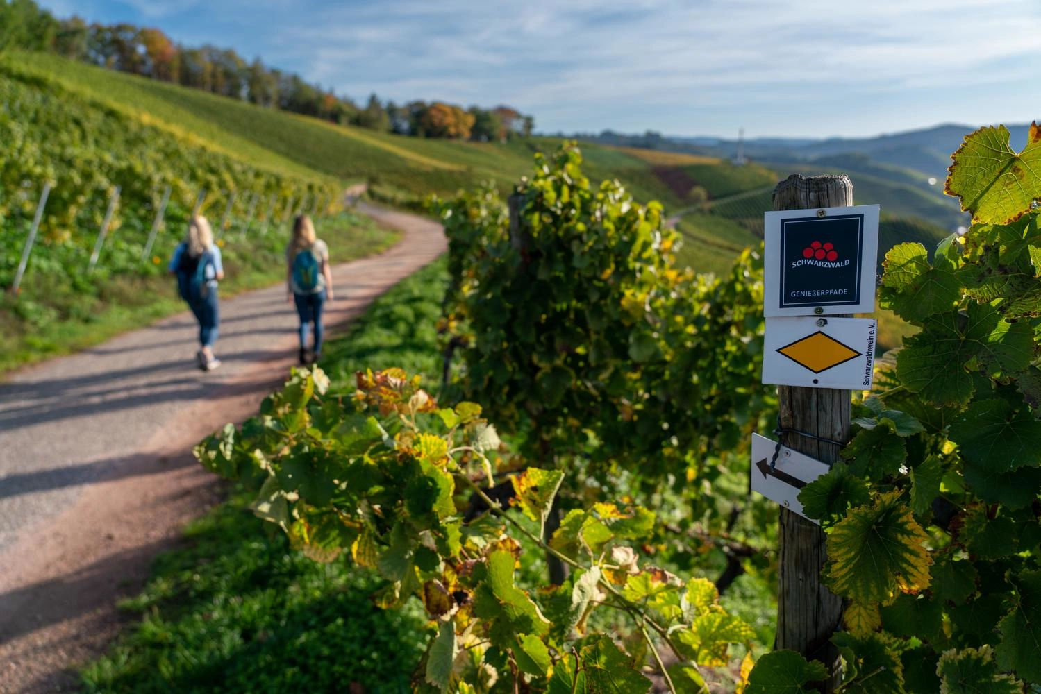 View of the hiking trail, two women walking in the background, the trail marker is in the foreground.