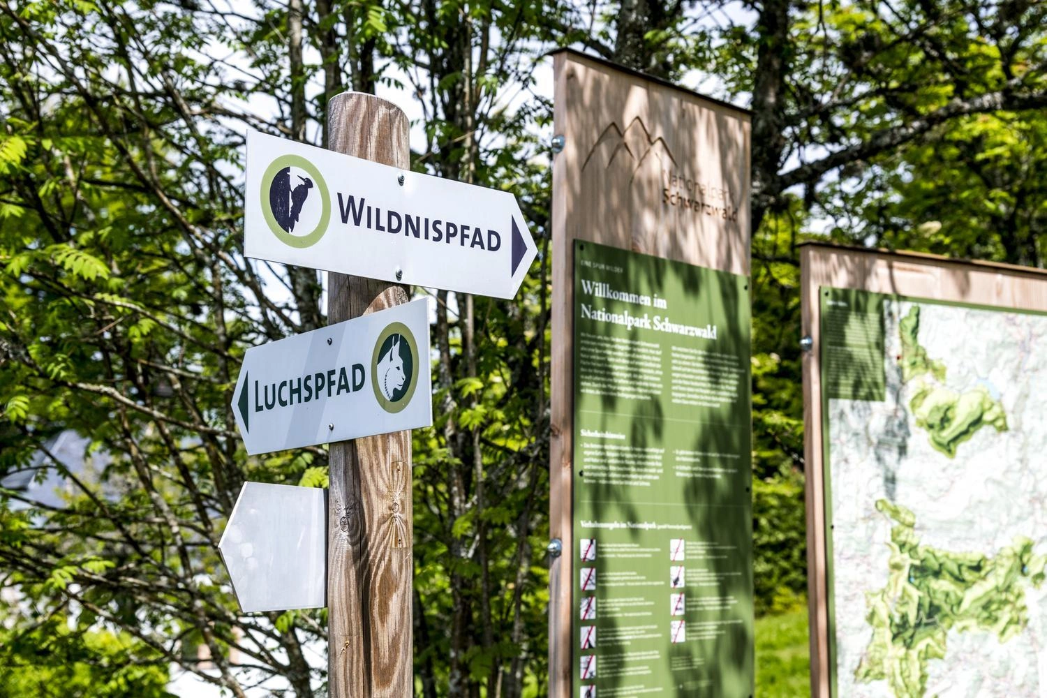 Wegweiser mit Beschilderung für verschiedene Wandertouren in einem Wald