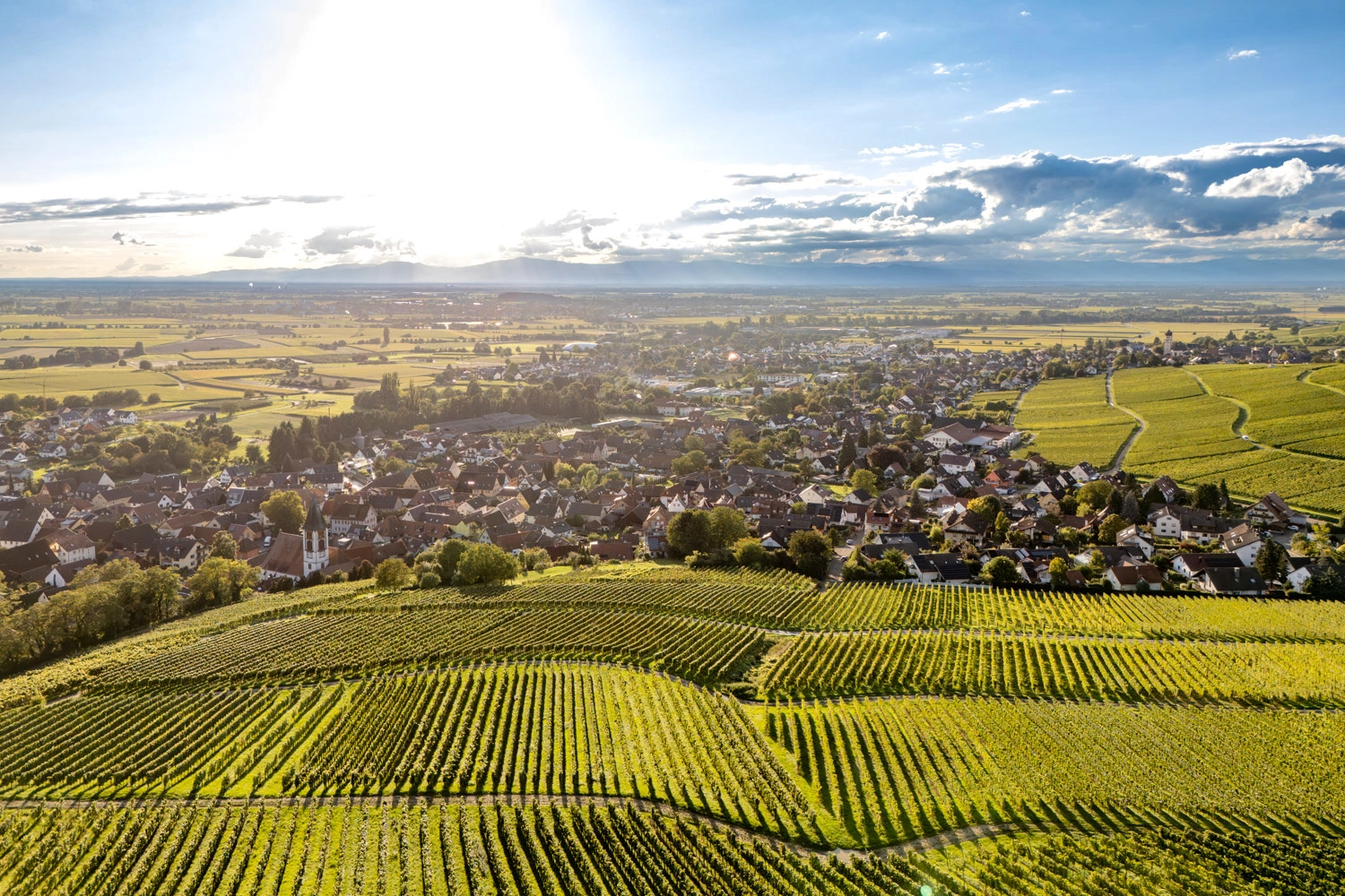 Panoramablick über Weinberge und ein Dorf im Sonnenlicht, dahinter weite Felder und Hügel unter blauem Himmel mit Wolken.