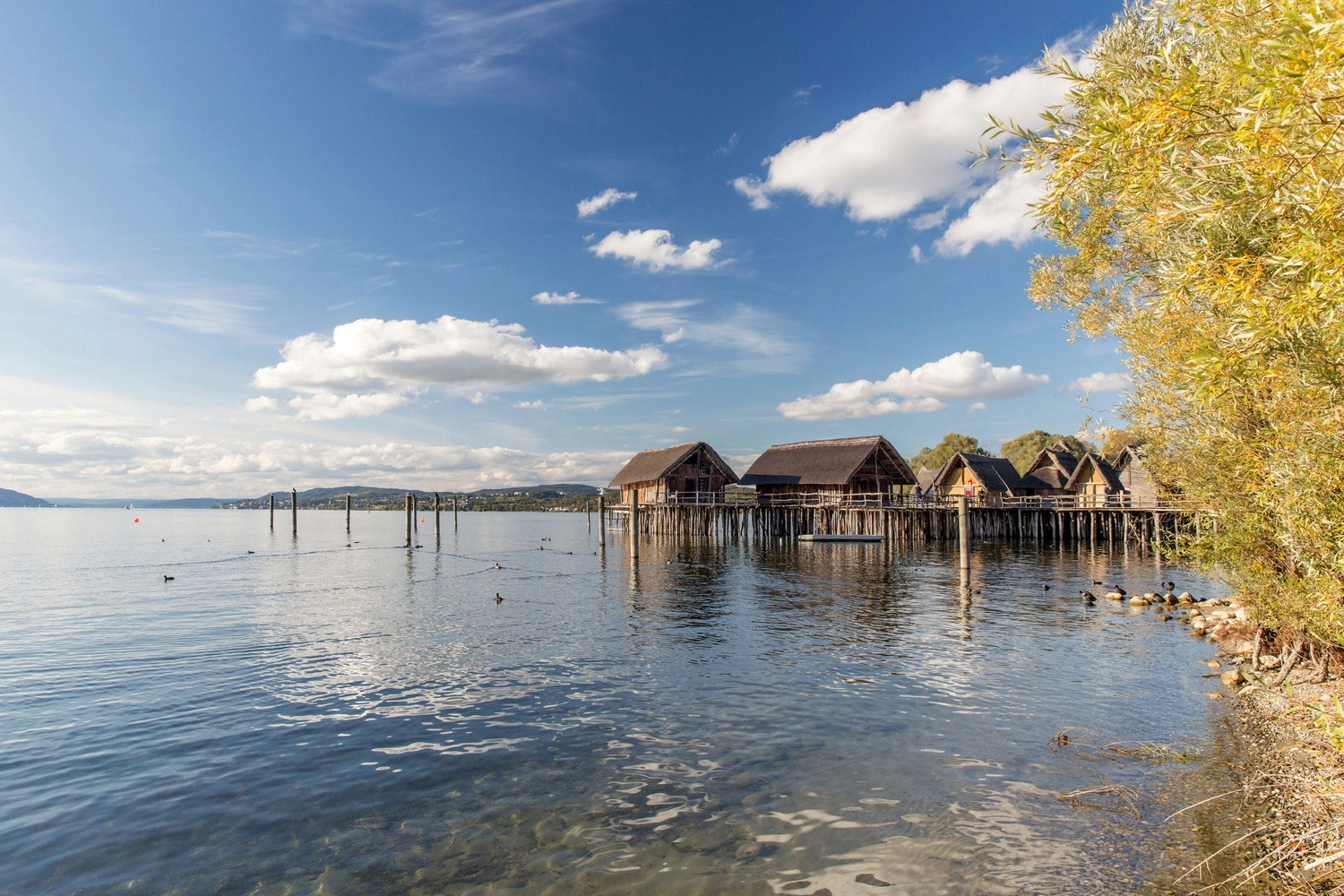 Im Bodensee liegen die Pfahlbauten. Kleine Häuser aus Holz, die auf Pfählen gebaut sind. 