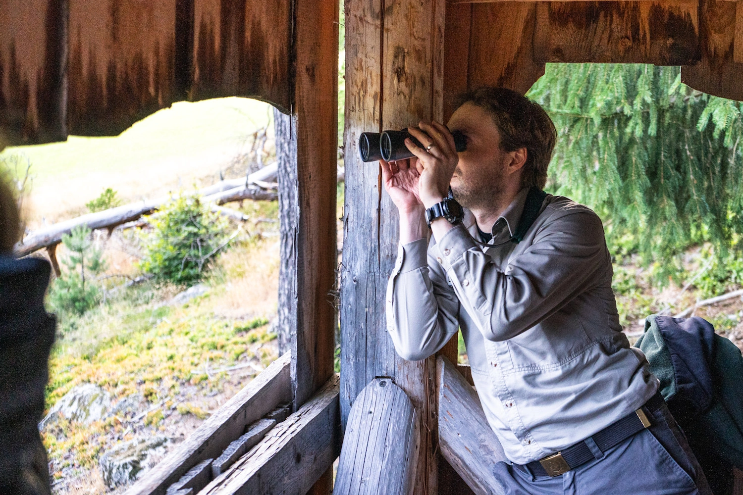 Ein Förster beobachtet von seinem Hochsitz aus mit einem Fernglas Tiere.